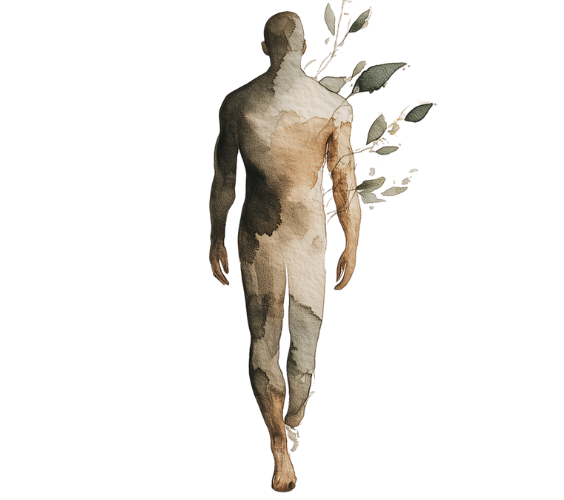 DXA Scanning Illustration - The Practitioner Studio Watercolour illustration of a human figure representing body composition and The Practitioner Studio Support for DXA Scanning support