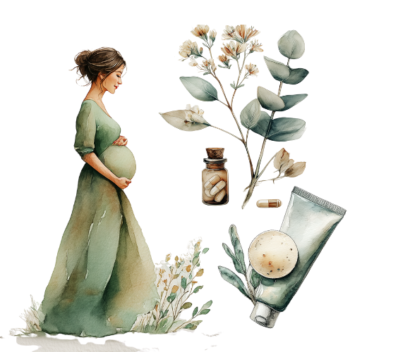 Watercolour illustration reflecting The Practitioner Studio's support for Hormone Therapy, BHRT and fertility practitioners. Showing calm, natural elements in a wellness theme.