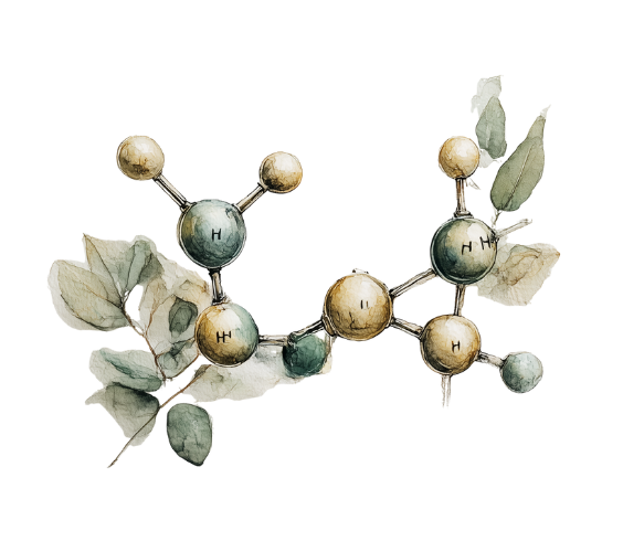 support-for-peptide-therapy Illustration of peptide molecules - Support for Peptide Therapy, The Practitioner Studio