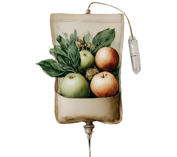 Watercolour illustration of vitamin IV therapy infusion bag filled with fruit and herbs, symbolising support for Vitamin IV Therapy.